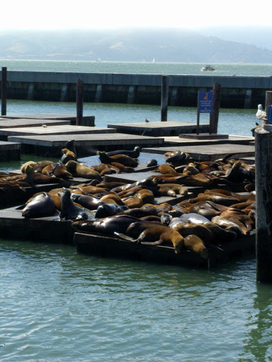 Shopping Mall «North Point Centre», reviews and photos, 320 Bay St, San Francisco, CA 94133, USA