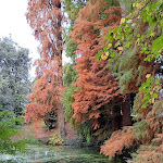 Photo n°3 de l'avis de Giorgio.e fait le 12/11/2023 à 09:42 sur le  villa Condulmer à Zerman, Mogliano Veneto
