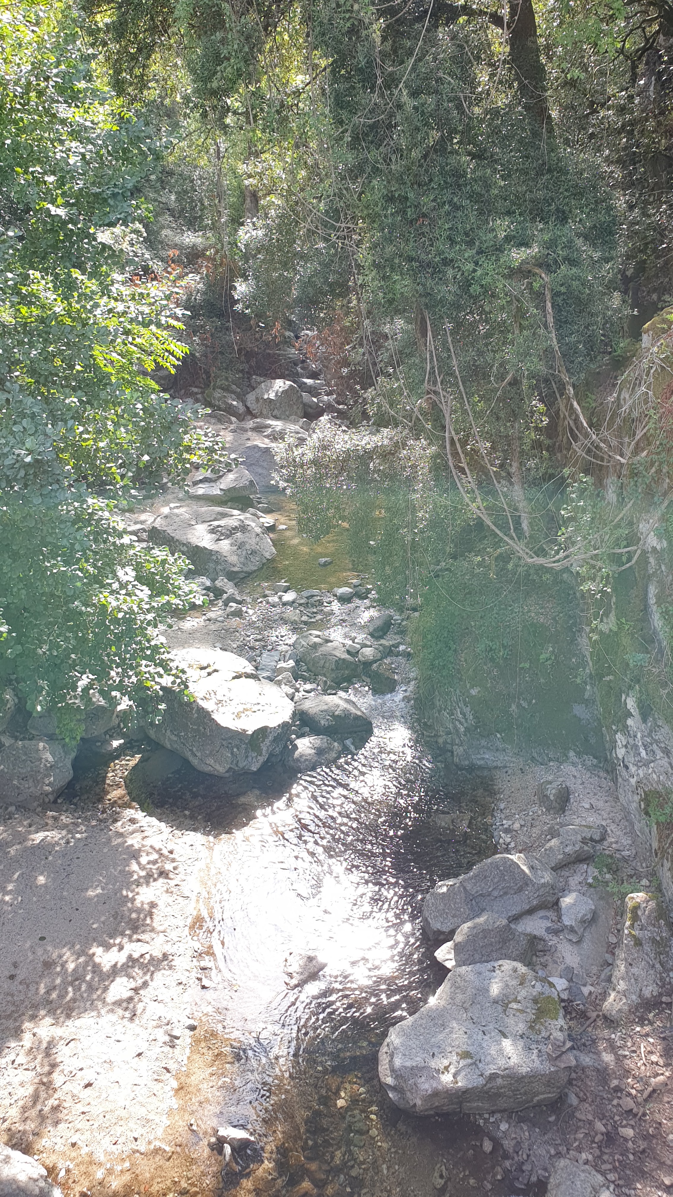Photo n° 2 de l'avis de Patrice. fait le 19/09/2019 à 16:12