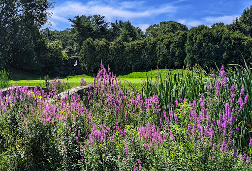 Golf Club «Stone Meadow Golf», reviews and photos, 675 Waltham St, Lexington, MA 02421, USA