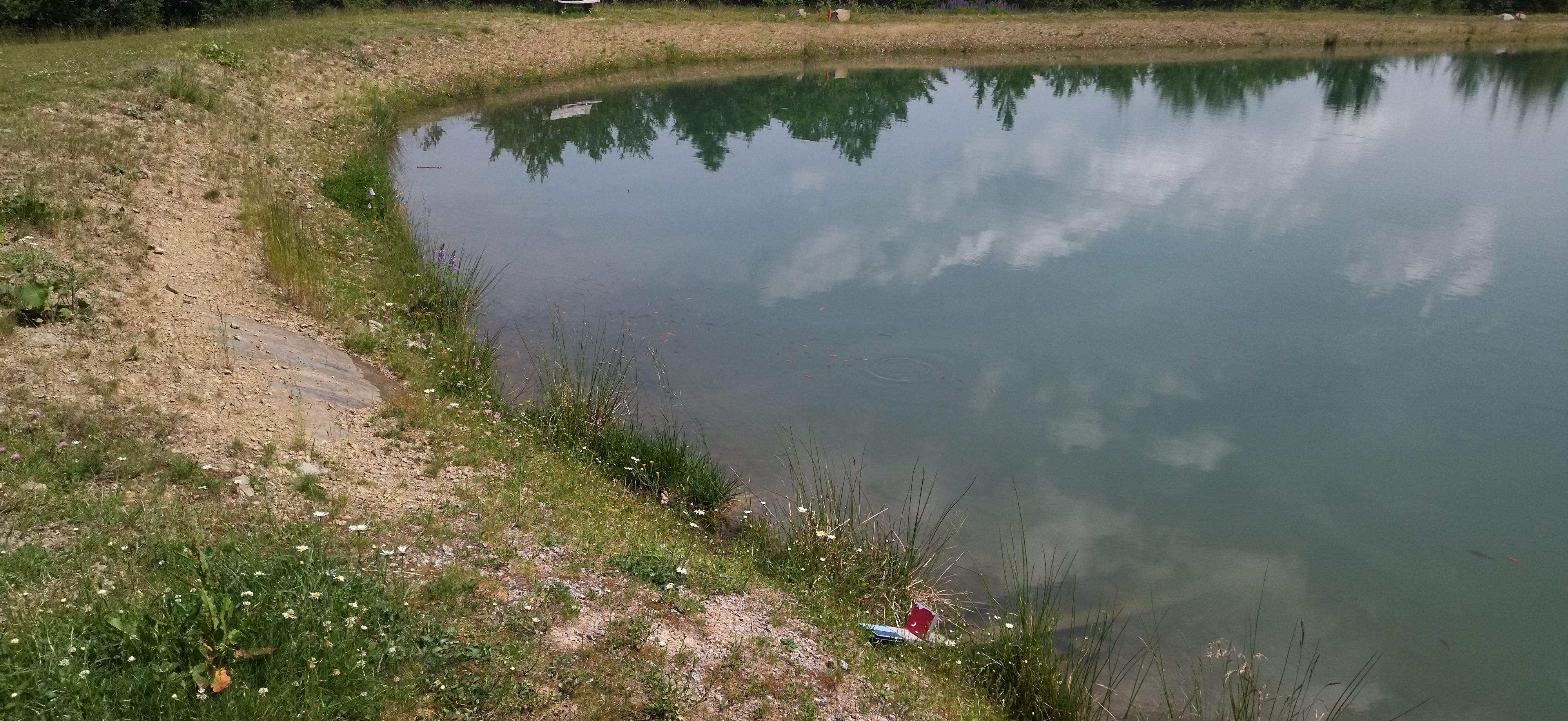 Photo n° 8 de l'avis de Sylvn. fait le 19/06/2021 à 14:24