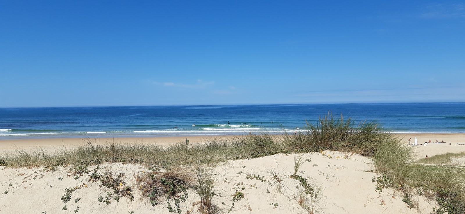Foto di Spiaggia di Contis - luogo popolare tra gli intenditori del relax
