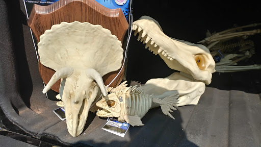 Discount Store «Big Lots», reviews and photos, 2727 N Grand Ave, Santa Ana, CA 92705, USA