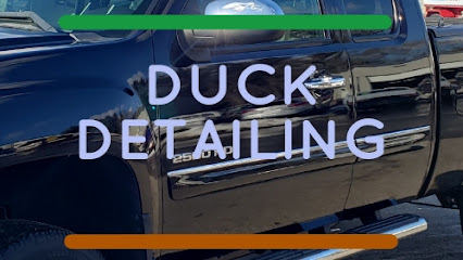 Duck Detailing
