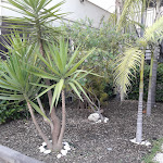 Photo n°5 de l'avis de Daniel.o fait le 02/06/2018 à 09:47 sur le  UNAHOTELS Naxos Beach Sicilia à Naxos