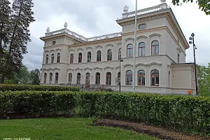 Näsi Castle image