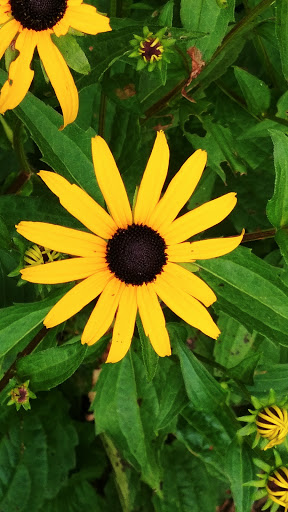 Nature Preserve «Grandfather Mountain», reviews and photos, 2050 Blowing Rock Hwy, Linville, NC 28646, USA