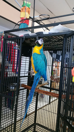 Pet Store «Species Pet Supply», reviews and photos, 1935 W Brandon Blvd, Brandon, FL 33511, USA