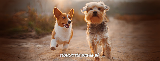 Clínica Veterinária Vilamoura