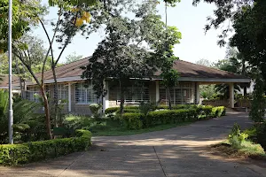 KEFRI, Kitui Terminalia House image