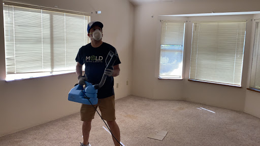 MOLD TESTING & MOLD REMOVAL SERVICES FONTANA