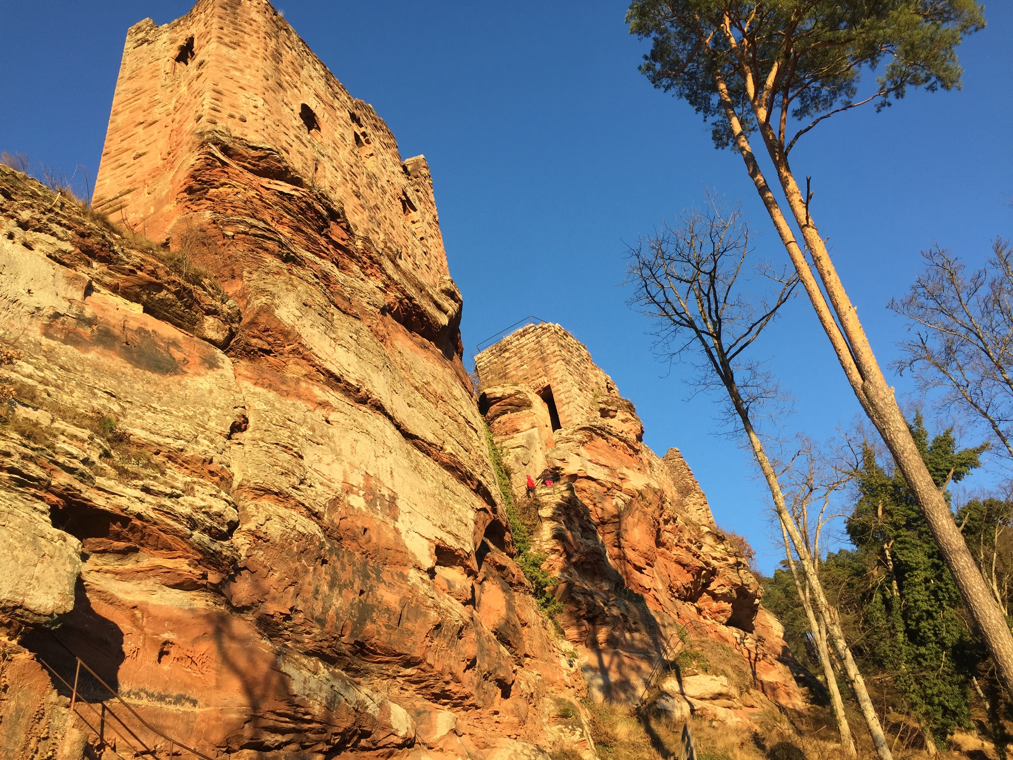 Photo n° 11 de l'avis de Sandra.i fait le 31/12/2020 à 14:00