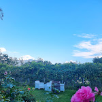 Photo n°1 de l'avis de Lorena.a fait le 17/08/2023 à 08:38 sur le  Maso Finisterre à Trento