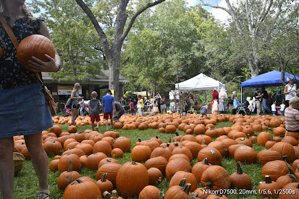 Non-Profit Organization «Nature Discovery Center», reviews and photos, 7112 Newcastle St, Bellaire, TX 77401, USA