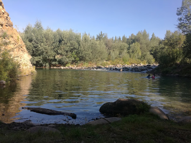 Opiniones de Camping borde rio claro en Río Claro - Camping