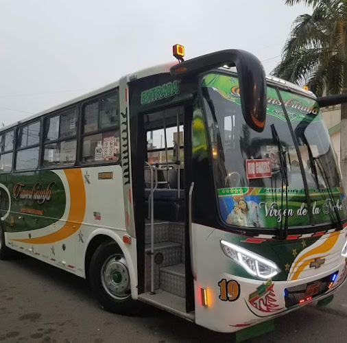 Opiniones de Compañia de Transporte urbano Transtriunfo en La Troncal - Servicio de transporte