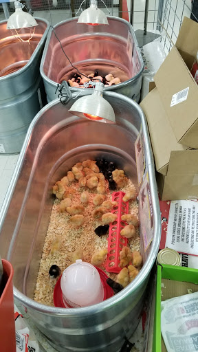 Home Improvement Store «Tractor Supply Co.», reviews and photos, 1212 N Queen St, Martinsburg, WV 25404, USA