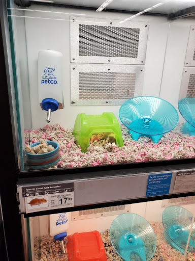 Pet Supply Store «Petco Animal Supplies», reviews and photos, 205 Palm Bay Rd NE #155, West Melbourne, FL 32904, USA