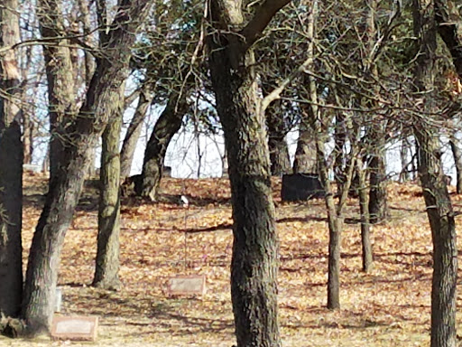 Funeral Home «West Suburban Funeral Home & Cremation Services», reviews and photos, 39 N Cass Ave, Westmont, IL 60559, USA