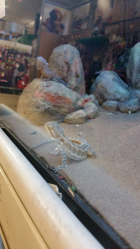 Pet Supply Store «PetSmart», reviews and photos, 711 US-41, Schererville, IN 46375, USA