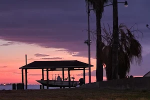 Galveston Island image