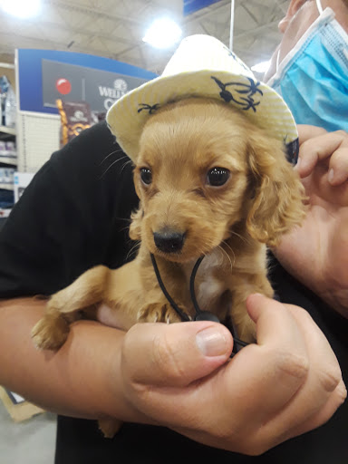 Pet Supply Store «PetSmart», reviews and photos, 3610 Rosecrans St, San Diego, CA 92110, USA