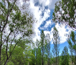 Parque de los Humedales photo
