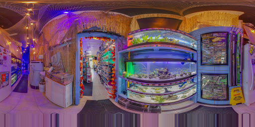 Pet Store «Discount Pets & Supplies», reviews and photos, 211 Hancock Bridge Pkwy, Cape Coral, FL 33990, USA