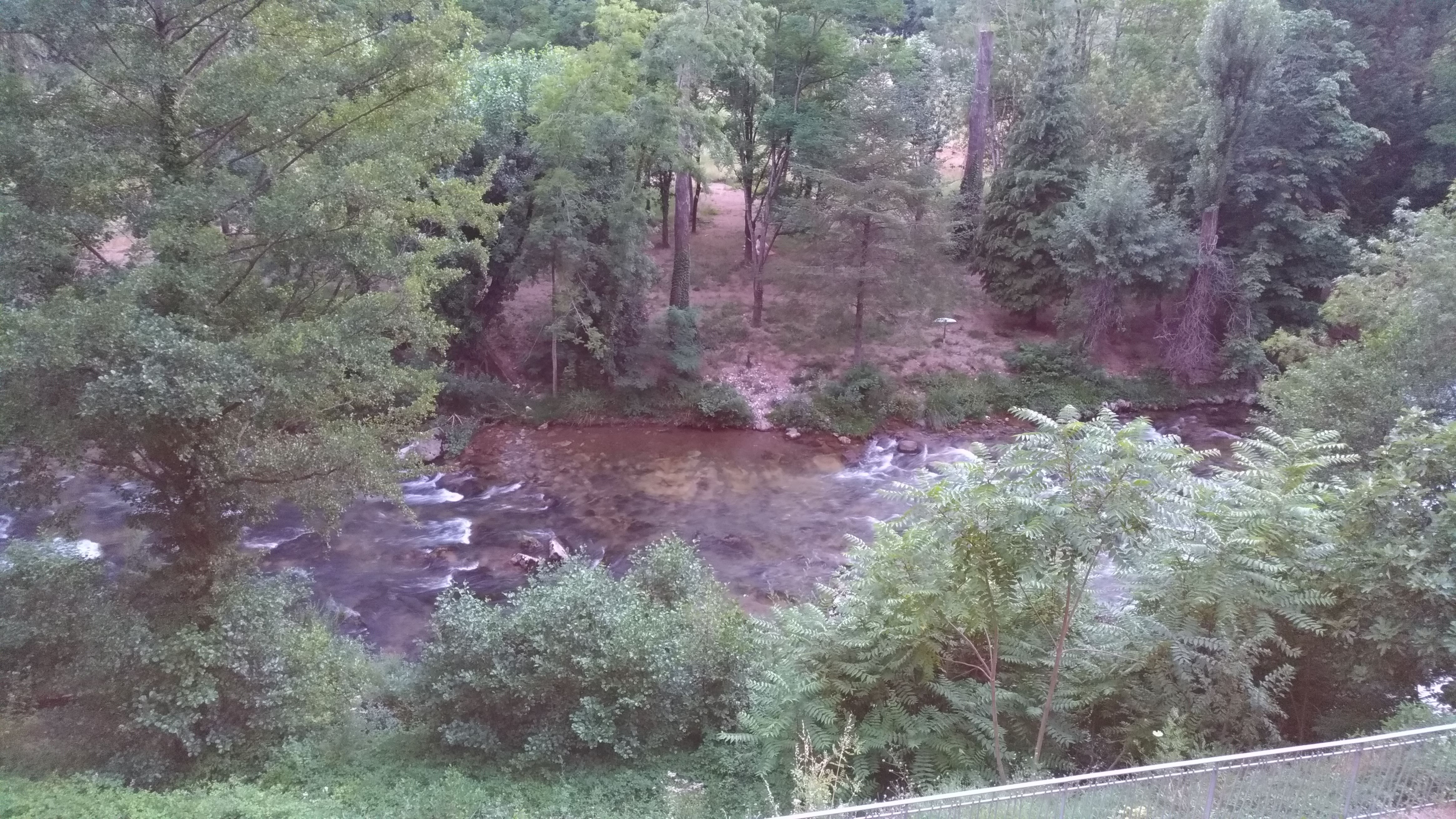 Photo n° 1 de l'avis de Colombe.i fait le 19/07/2018 à 15:03