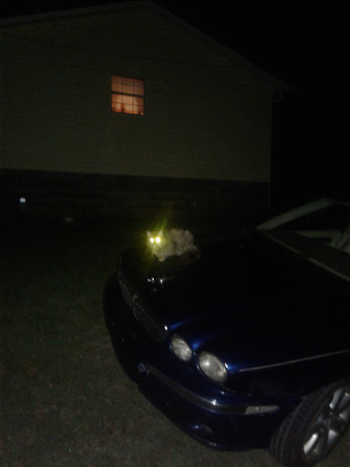 History Museum «Eddie Mae Herron Center/Museum», reviews and photos, 1708 Archer St, Pocahontas, AR 72455, USA