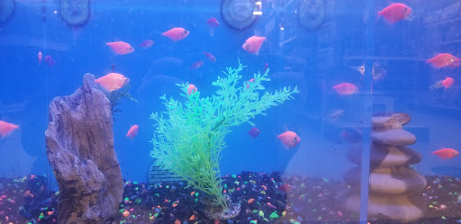 Pet Supply Store «PetSmart», reviews and photos, 7574 Voice of America Centre Dr, West Chester Township, OH 45069, USA