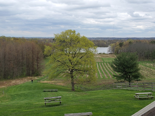 Vineyard «The Winery at Wolf Creek», reviews and photos, 2637 S Cleveland Massillon Rd, Barberton, OH 44203, USA