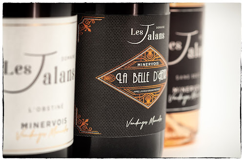 DOMAINE LES JALANS à Tourouzelle