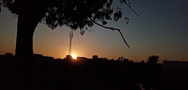 روضة نادية