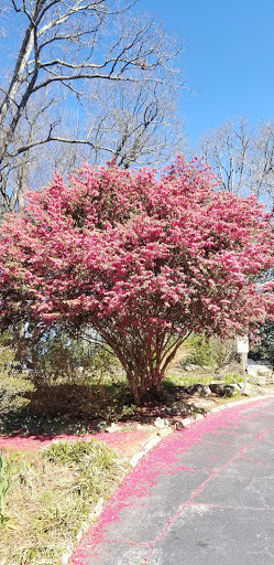 Art Center «Callanwolde Fine Arts Center», reviews and photos, 980 Briarcliff Rd NE, Atlanta, GA 30306, USA