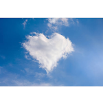 Photo n°1 de l'avis de Klaus.u fait le 11/06/2023 à 07:42 sur le  Restaurant Friesenjung à Wangerooge