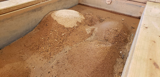 Tourist Attraction «Crisson Gold Mine», reviews and photos, 2736 Morrison Moore Pkwy E, Dahlonega, GA 30533, USA