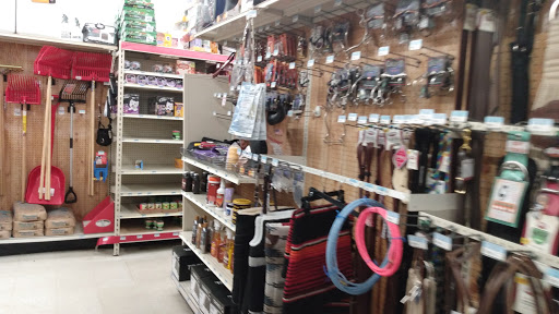 Home Improvement Store «Tractor Supply Co.», reviews and photos, 100 W Ardice Ave #1, Eustis, FL 32726, USA
