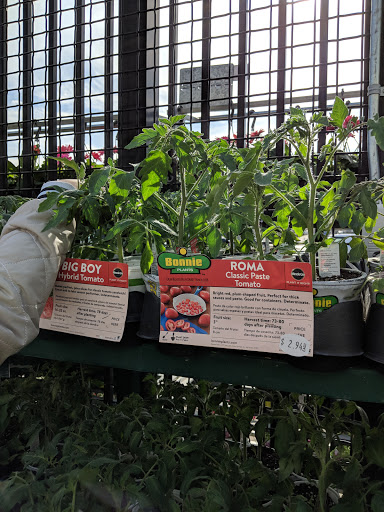 Department Store «Walmart Supercenter», reviews and photos, 534 S Duff Ave, Ames, IA 50010, USA