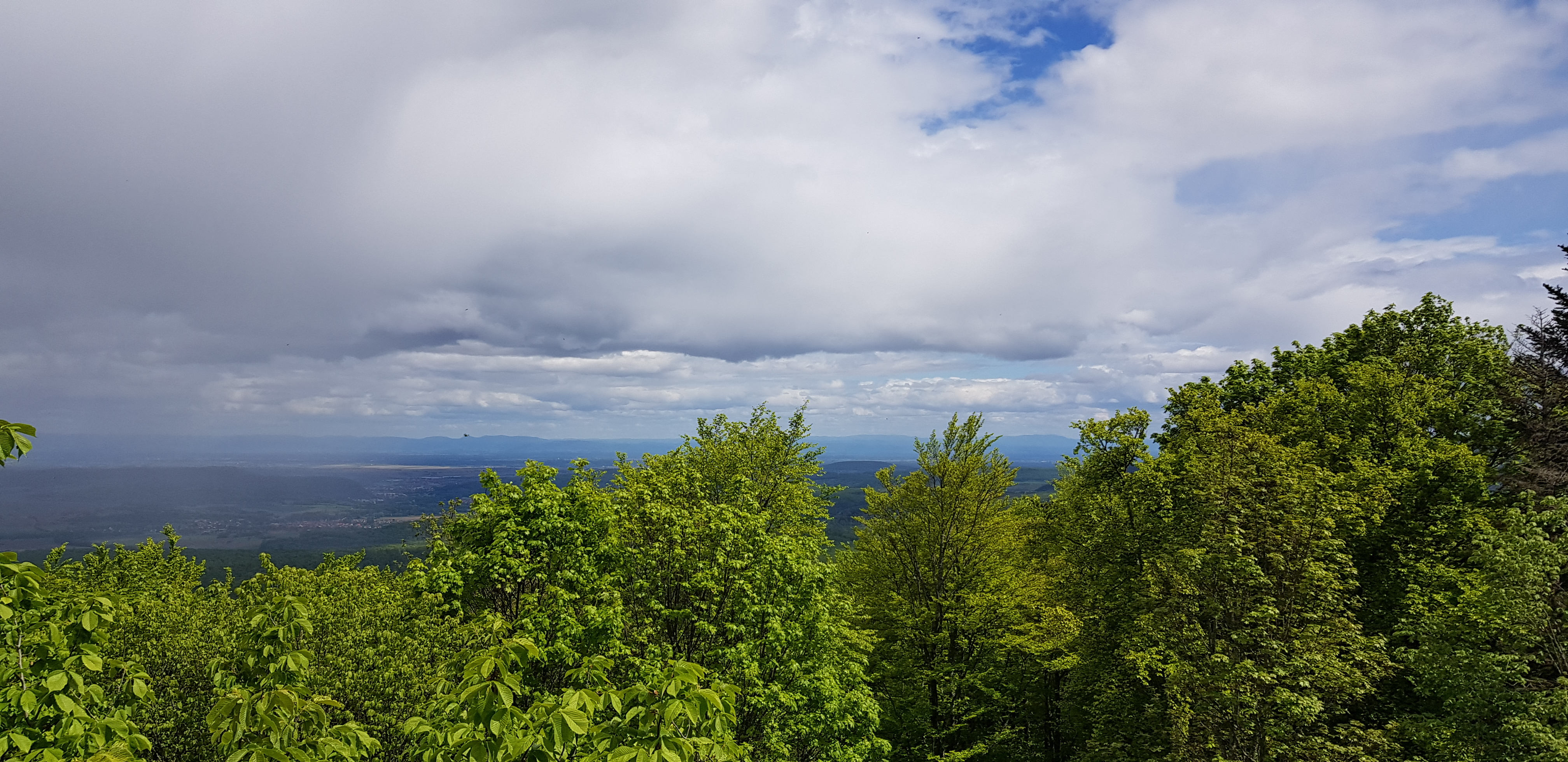 Photo n° 3 de l'avis de Jean-Luc.a fait le 24/05/2021 à 16:51