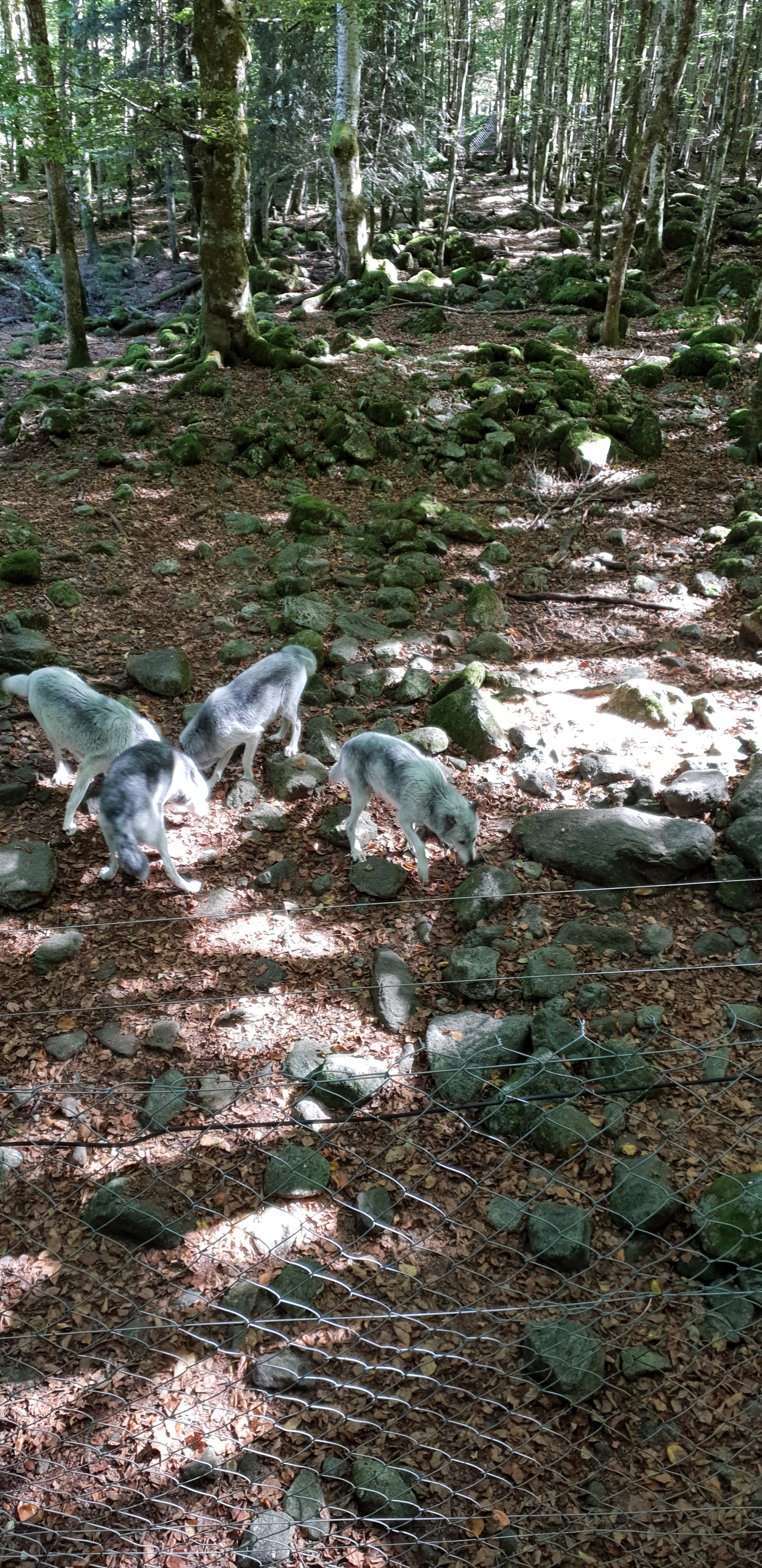 Photo n° 8 de l'avis de Christophe.e fait le 26/09/2018 à 10:29