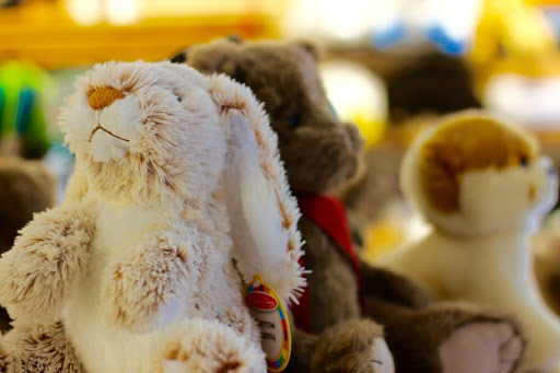 Toy Store «Castle Toys and Games - Wexford, PA», reviews and photos, 12033 Perry Hwy, Wexford, PA 15090, USA