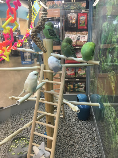 Pet Supply Store «Petco Animal Supplies», reviews and photos, 1419 Towne Square Blvd NW, Roanoke, VA 24019, USA