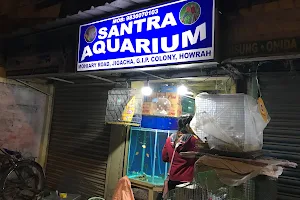 Santra Aquarium (Pet Shop) image