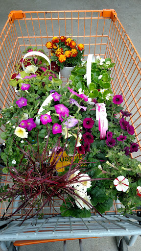 Home Improvement Store «The Home Depot», reviews and photos, 100 1st Ave, Waltham, MA 02451, USA