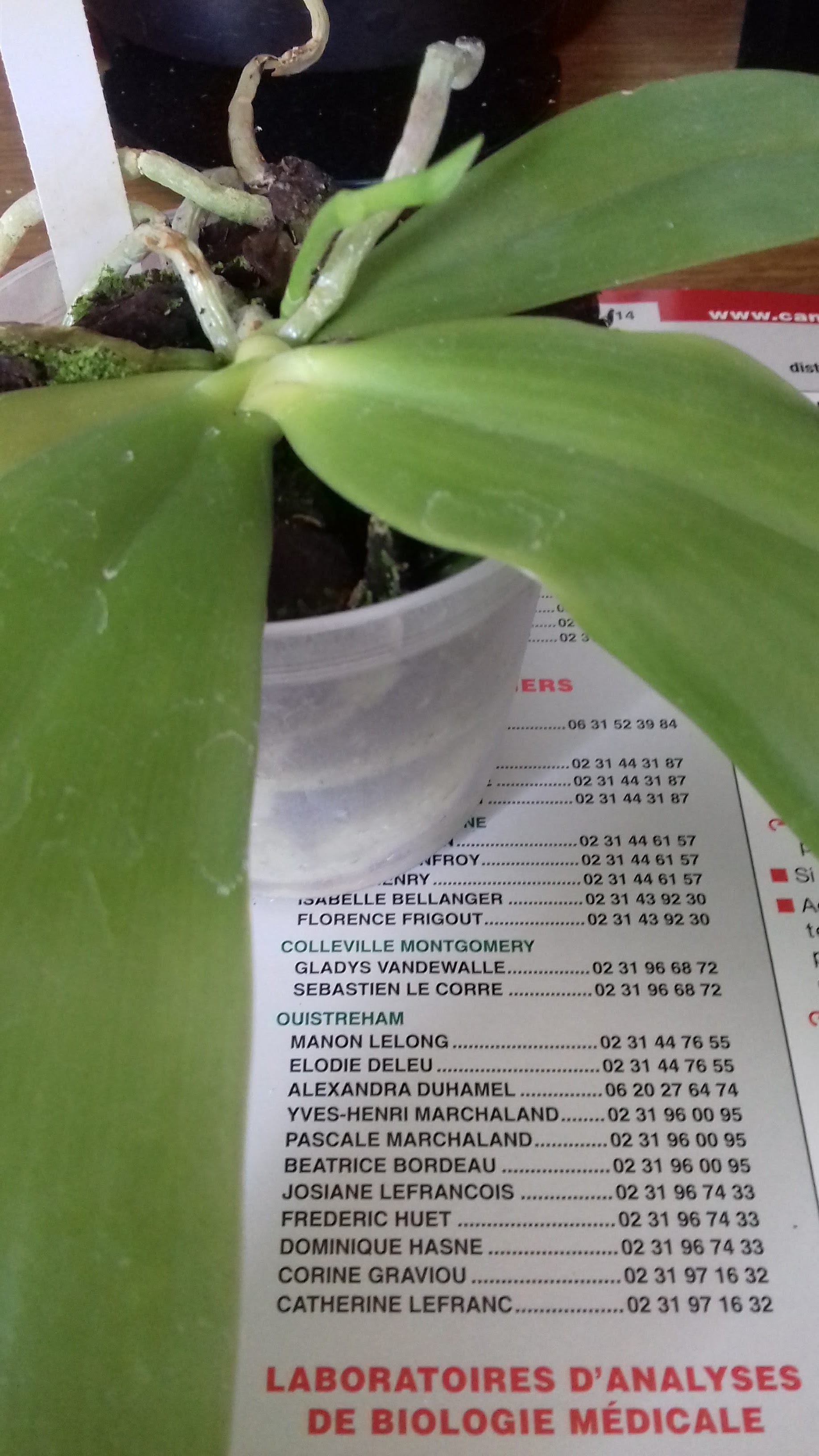 Photo n° 2 de l'avis de Alienor. fait le 01/07/2019 à 10:19