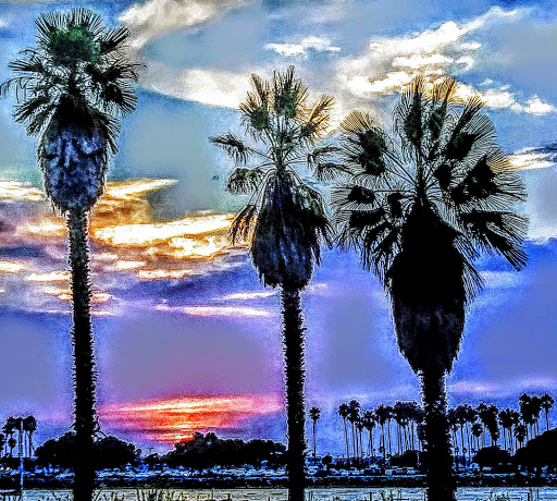 Commercial Printer «Minuteman Press - San Diego», reviews and photos, 3175 Midway Dr, San Diego, CA 92110, USA