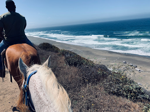 Stable «Ross Ranch», reviews and photos, 28300 Philo Greenwood Rd, Elk, CA 95432, USA