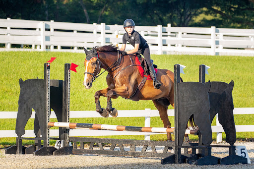 Golden Gate Equestrian