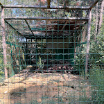 Photo n°2 de l'avis de P. fait le 31/08/2023 à 20:29 sur le  Parc Gallorose à Loc. Cedrino